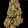 Atomical Haze Feminizovaná