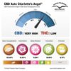 Charlotte’s Angel CBD Auto Feminizovaná