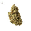Amazing Haze Feminizovaná