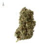 Kosher Tangie Kush Feminizovaná