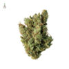 Super Silver Haze Feminizovaná