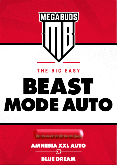 Beast Mode Auto Feminizovaná