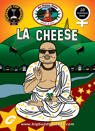 L.A. Cheese Feminizovaná