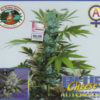 Blue Cheese Auto Feminizovaná