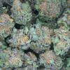 California Kush Feminizovaná
