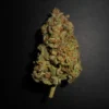 Lemon AK Auto Feminizovaná