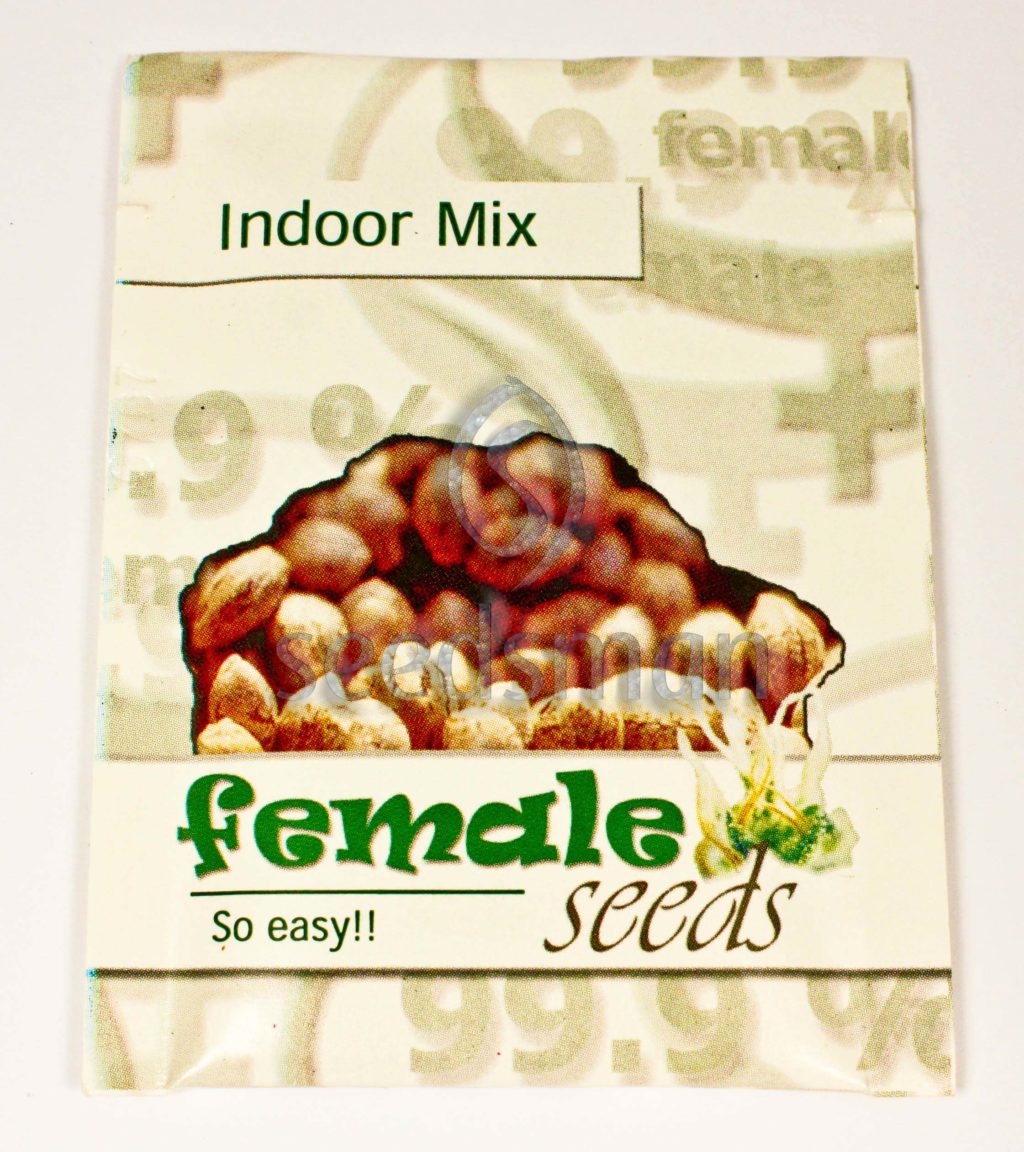 Indoor Mix Feminizovaná