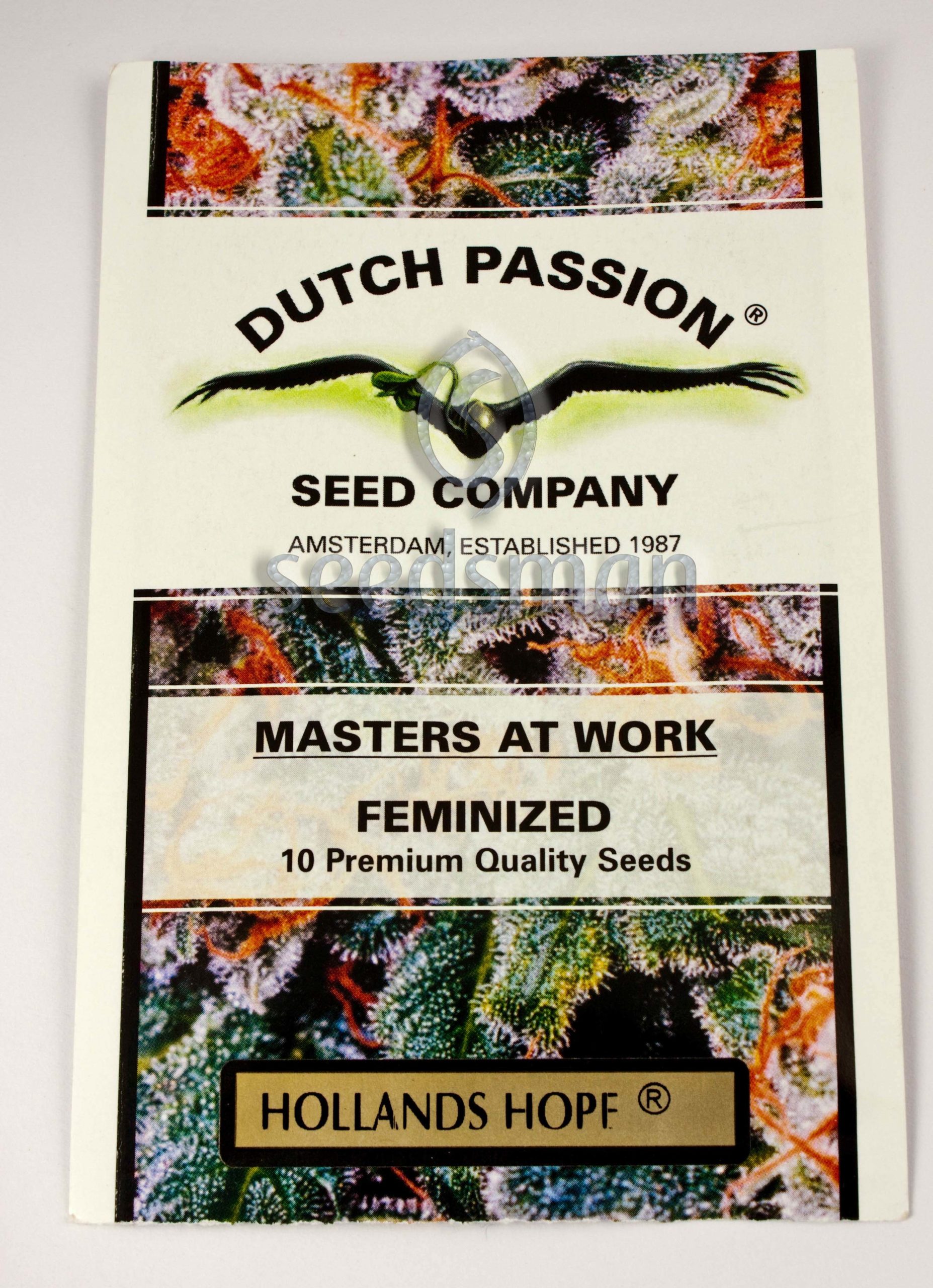 file_42_39 Holland’s Hope Feminizovaná