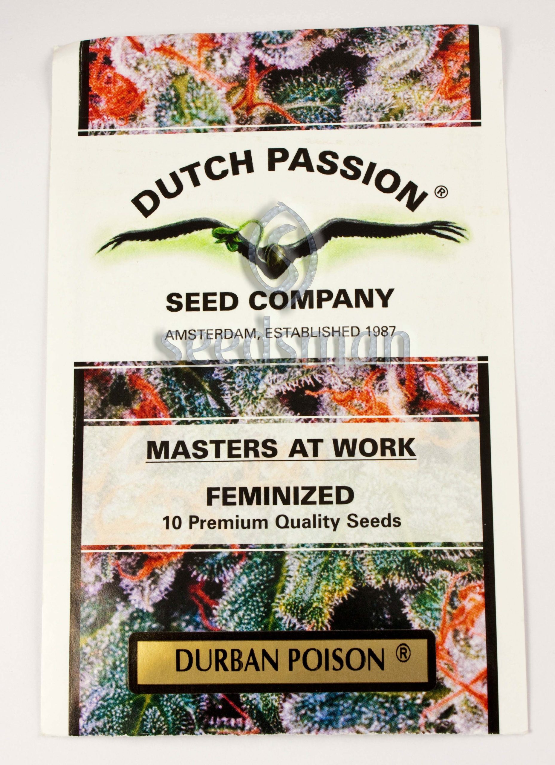 file_42_42 Durban Poison Feminizovaná