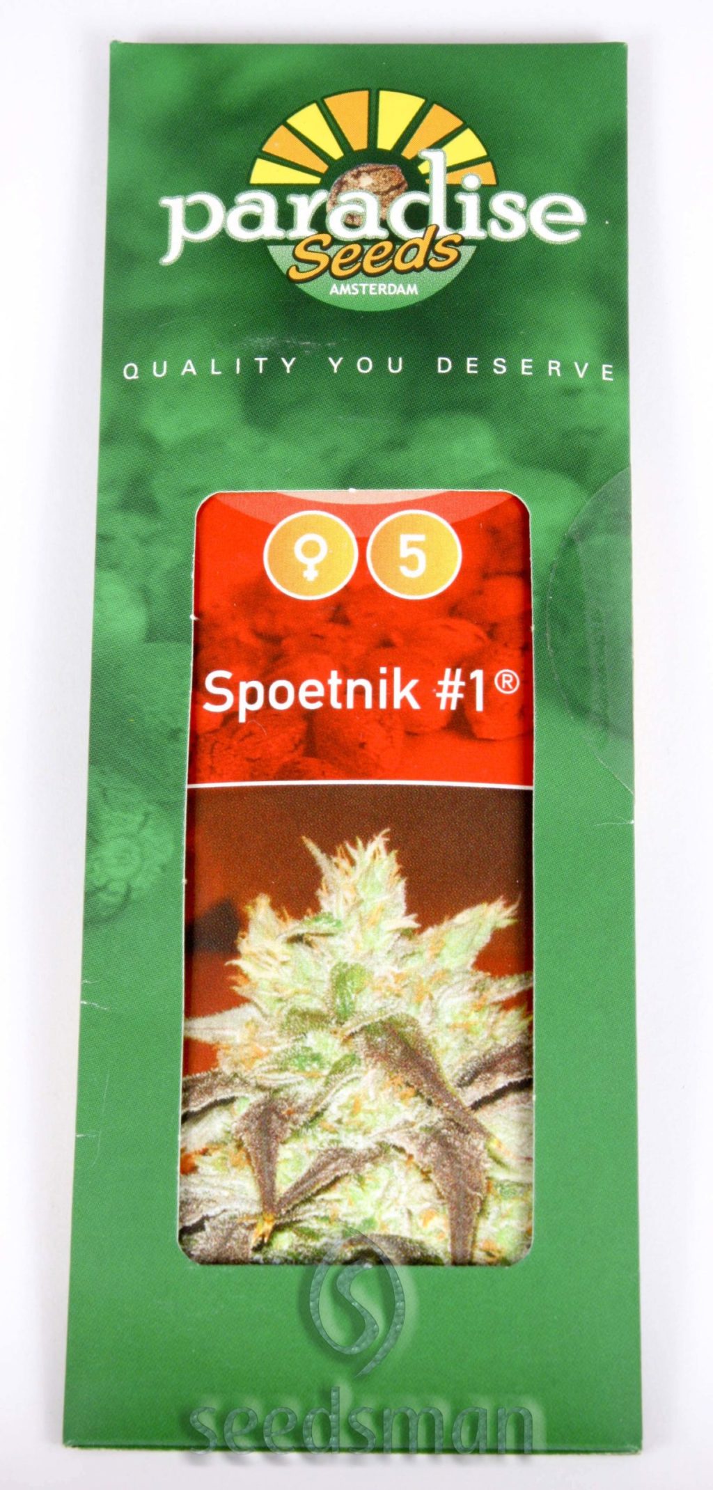 Spoetnik #1 Feminizovaná