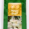 Magic Bud Feminizovaná