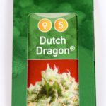 Dutch Dragon Feminizovaná