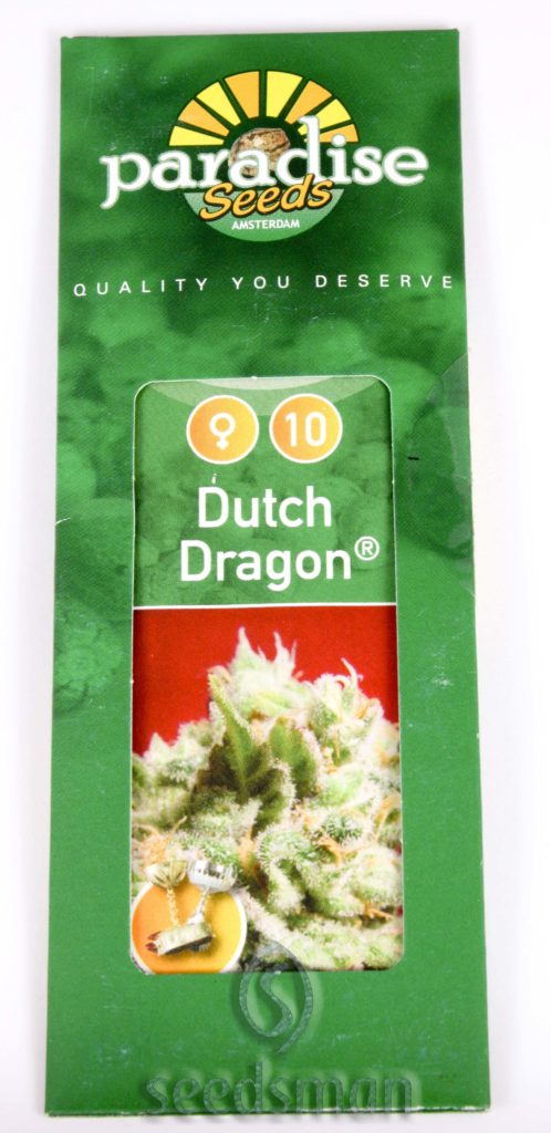 Dutch Dragon Feminizovaná
