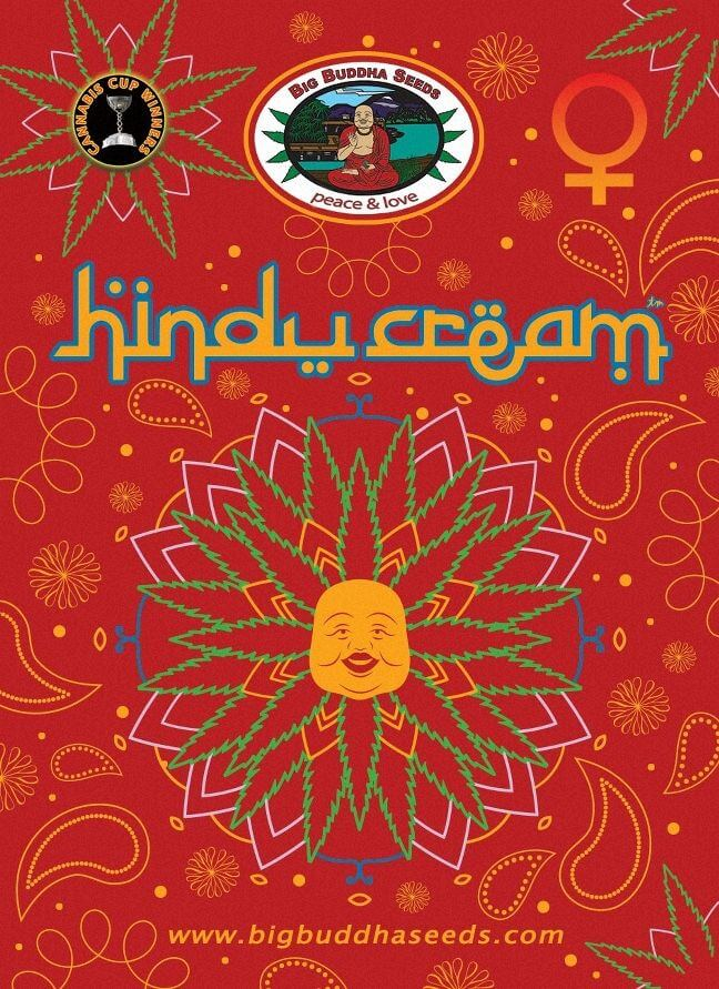 Hindu Cream Feminizovaná