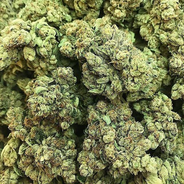 king-mamba-cali-kush-farms-2 King Mamba Feminizovaná