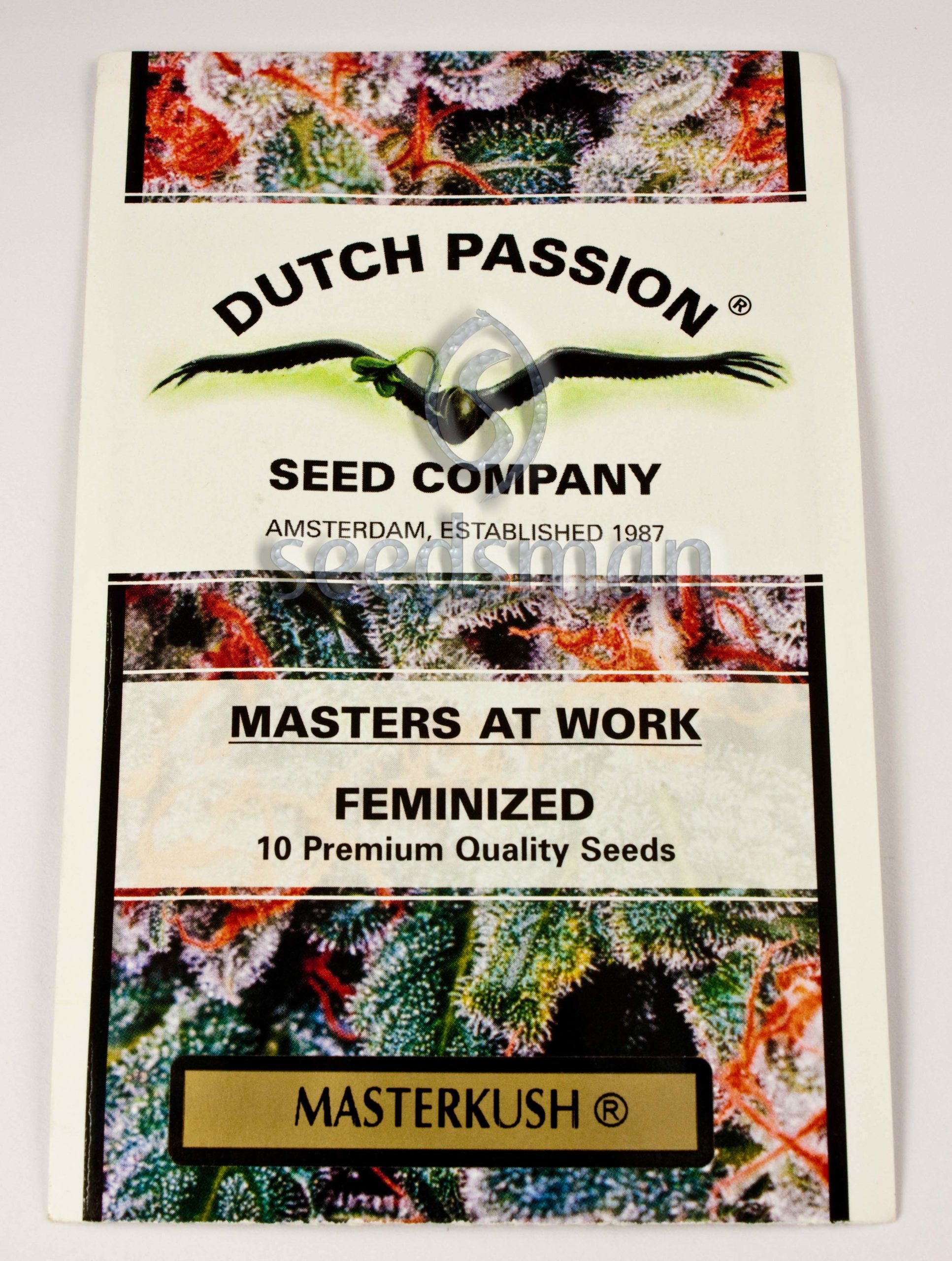 Master Kush Feminizovaná