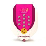 Purple Queen Feminizovaná
