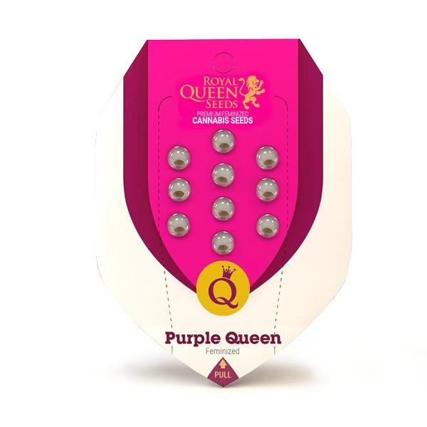 Purple Queen Feminizovaná