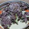 Pakistan Chitral Kush Regulérní