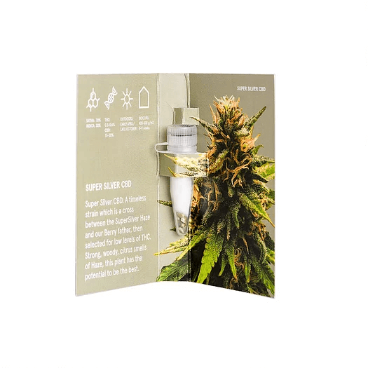 super-silver-2 Super Silver CBD Feminizovaná