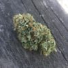 Triangle Glue #4 Feminizovaná