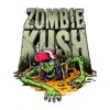 Zombie Kush Feminizovaná