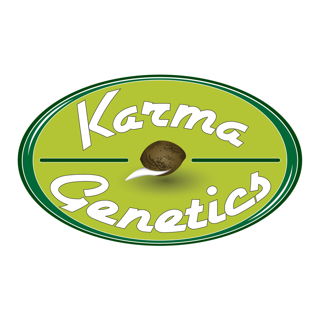 Sour Josh Regulérní Miley Biker Ltd. Edition Regulérní