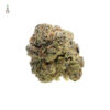 Blue Monkey CBD Feminizovaná