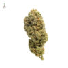Grapefruit Superstar Feminizovaná