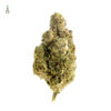 Magic OG Kush Feminizovaná