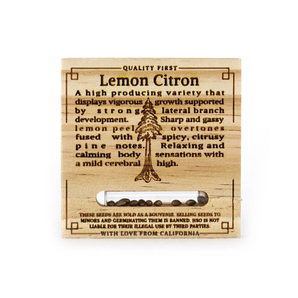 Lemon Citron Feminizovaná