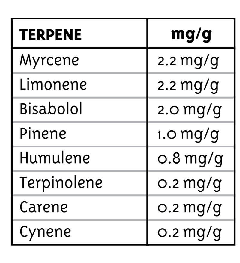 mango-sherbert-terpenes Mango Sherbert Regulérní