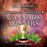 Cannabis Winners Mix 1