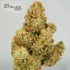 Skywalker Haze Auto Feminizovaná