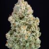 Original Afghan Kush Auto Feminizovaná