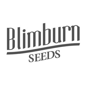 BlimBurn Seeds