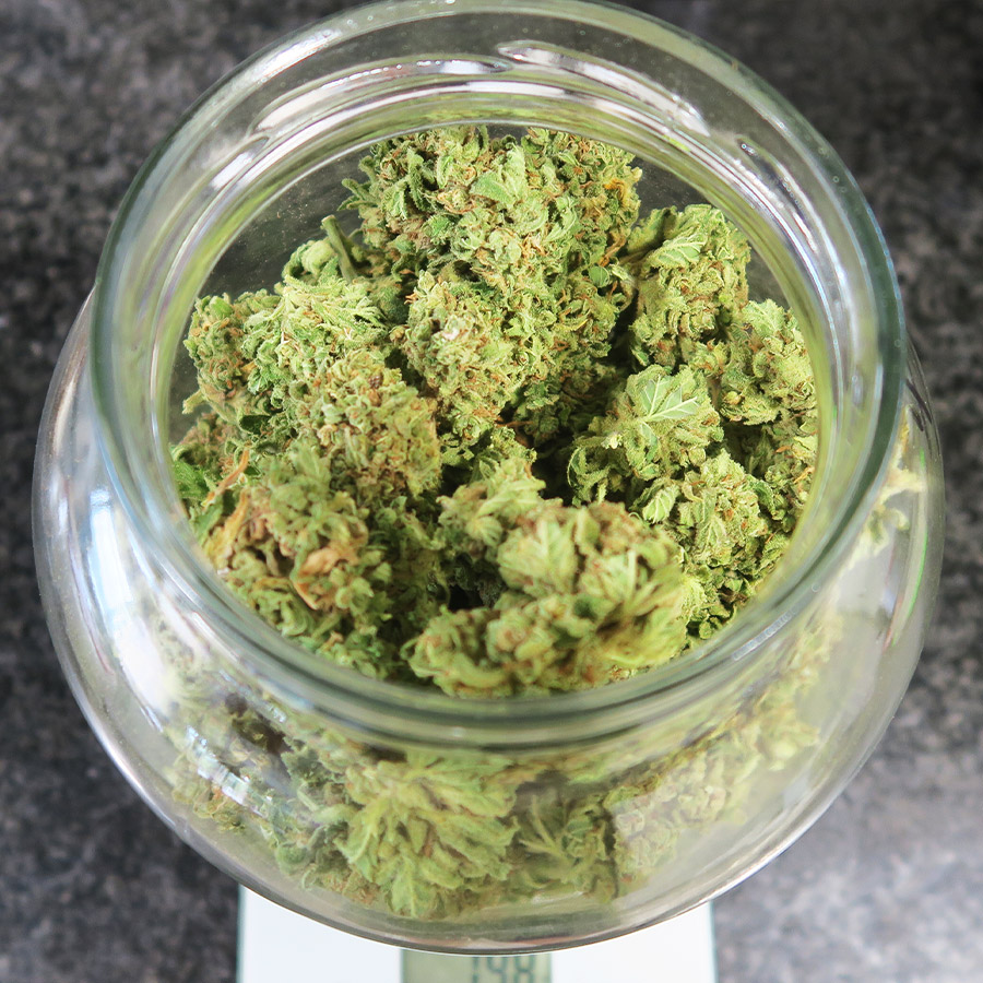 Buddha Cookie Auto Feminizovaná