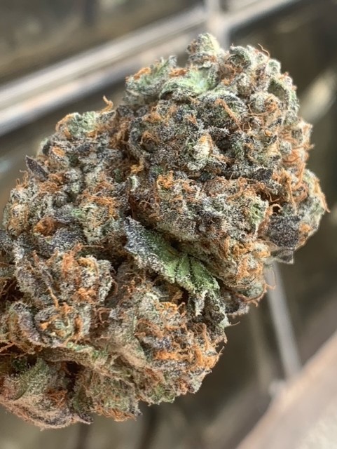 AK-47 Platinum Regulérní