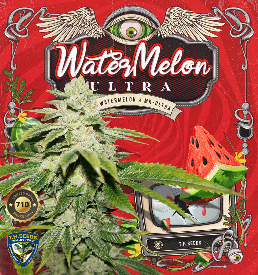 WaterMelon Ultra 710 Special Pack Feminizovaná +1