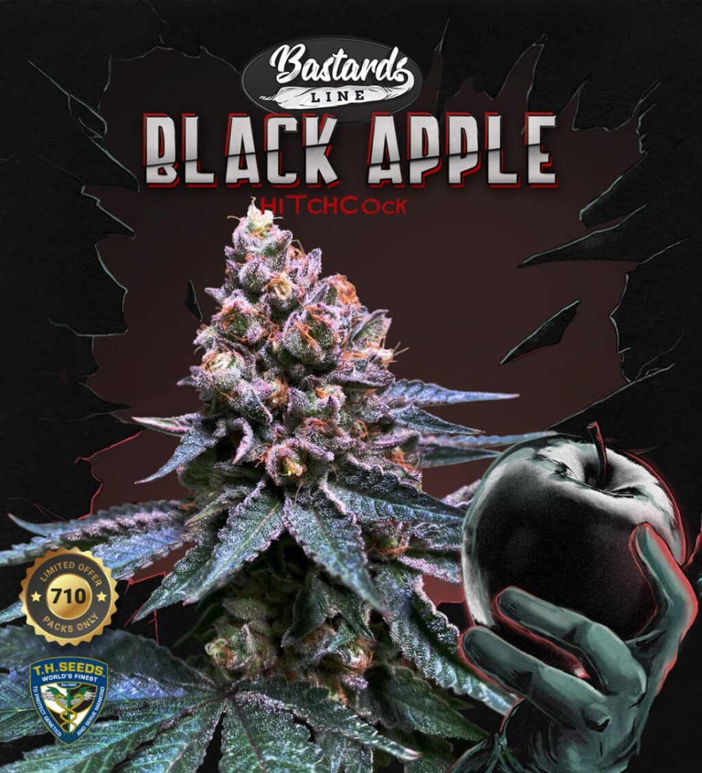 Black Apple Hitchcock Feminizovaná